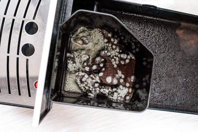 Mold in Coffee Maker Symptoms