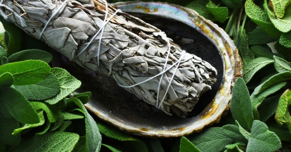 How Do You Dry Fresh Sage