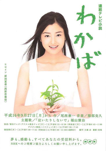 北千住の隠れ家わかば堂を徹底解剖！名物キッシュと混雑回避の極意