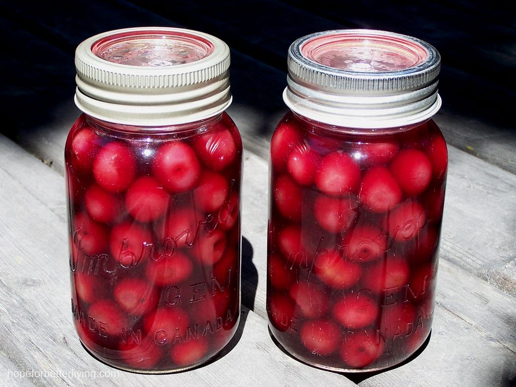 Does Cherries Make You Go to the Bathroom