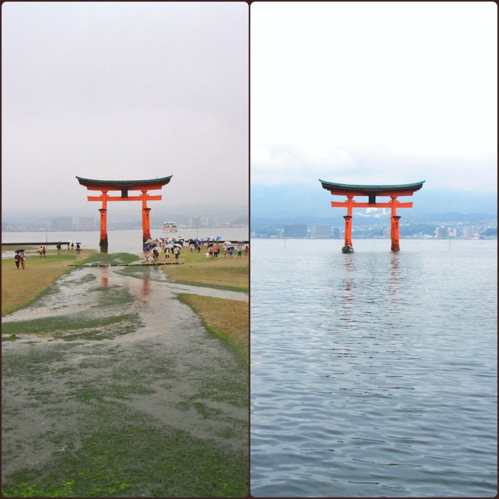 宮島参拝で失敗しない！満潮干潮の絶景見頃と最新完全攻略ガイド