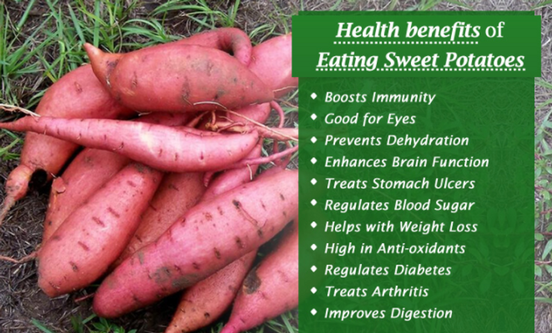Can I Eat a Sweet Potato Everyday
