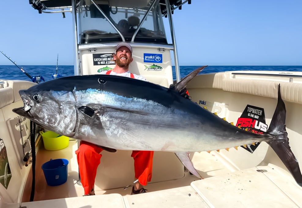 How Much for Blue Fin Tuna