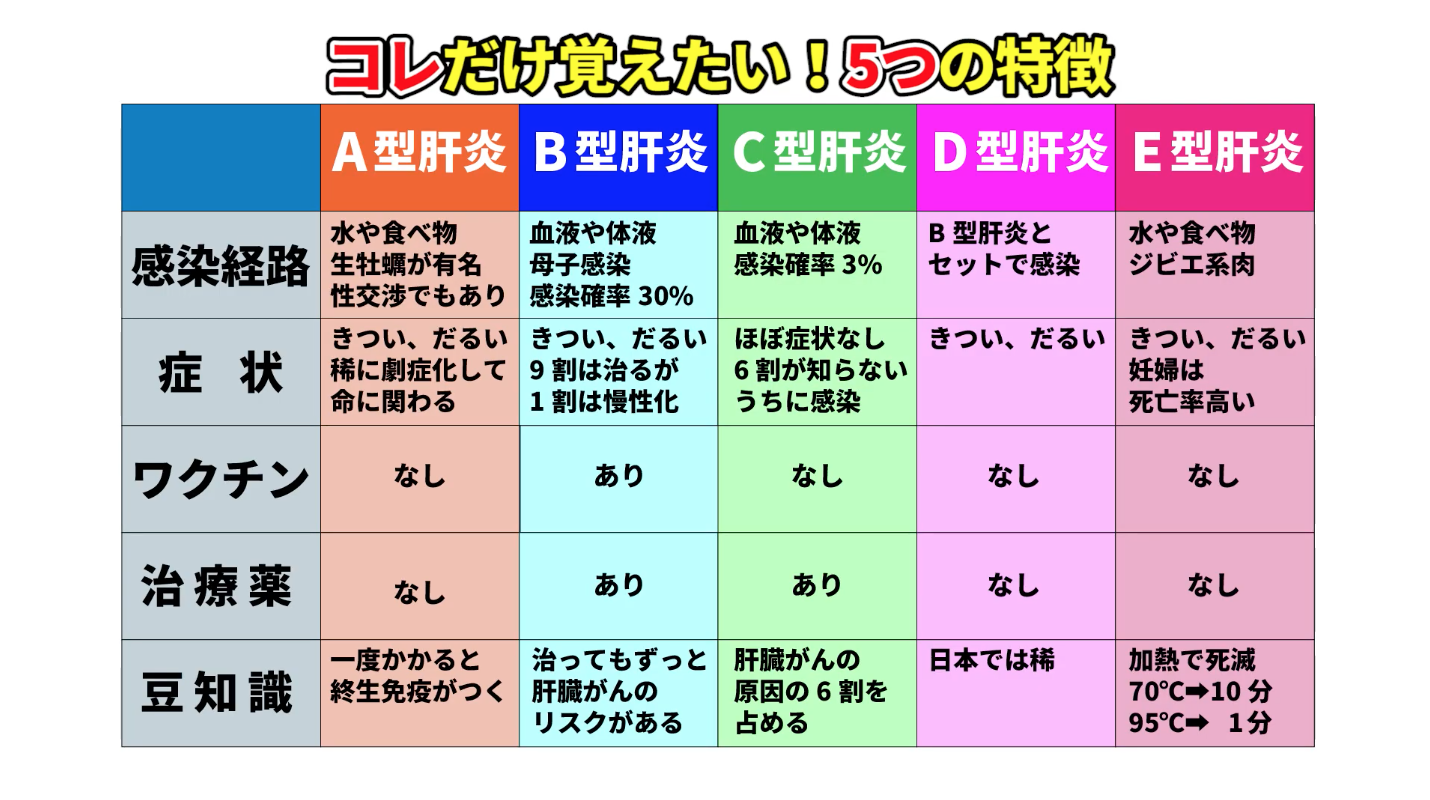 B型肝炎とC型肝炎どちらが怖い？完治率や進行リスクを徹底比較【2026年最新】