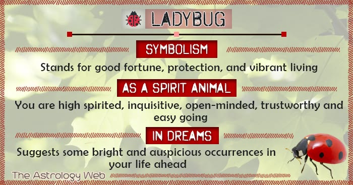 Ladybird Symbolic Meaning