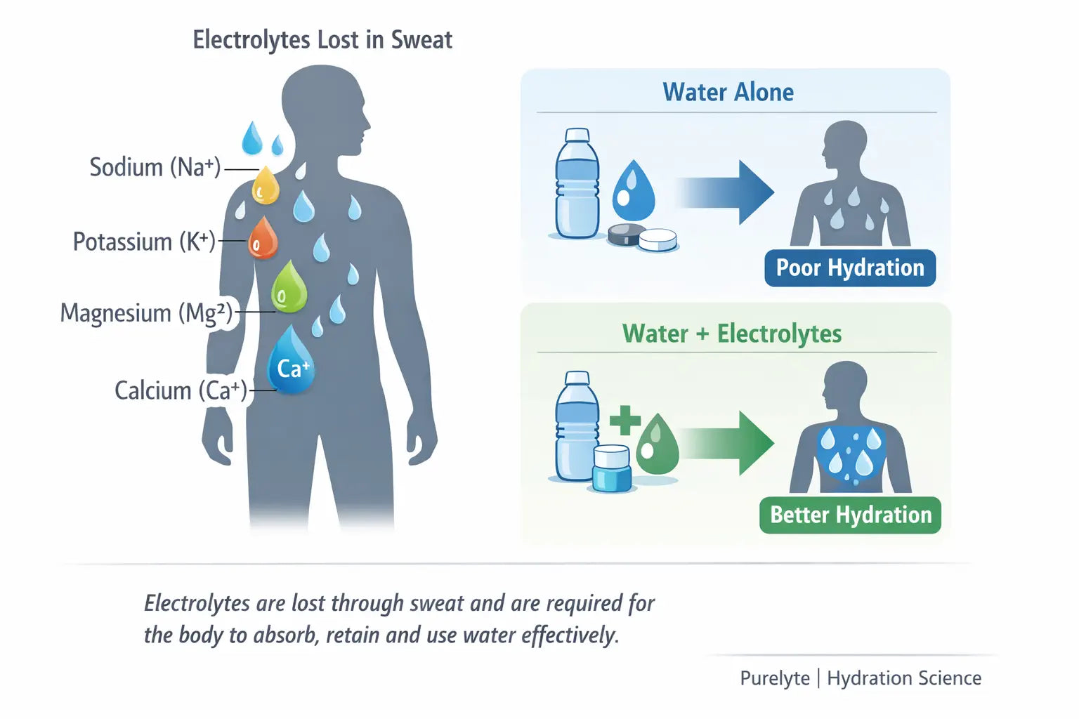 Why Do Electrolytes Help with Hydration
