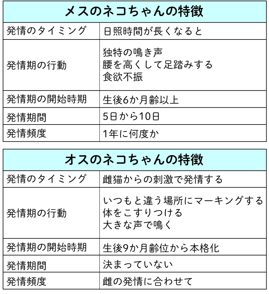 猫の盛り時期はいつから？鳴き声や行動の理由とプロ直伝の対処法