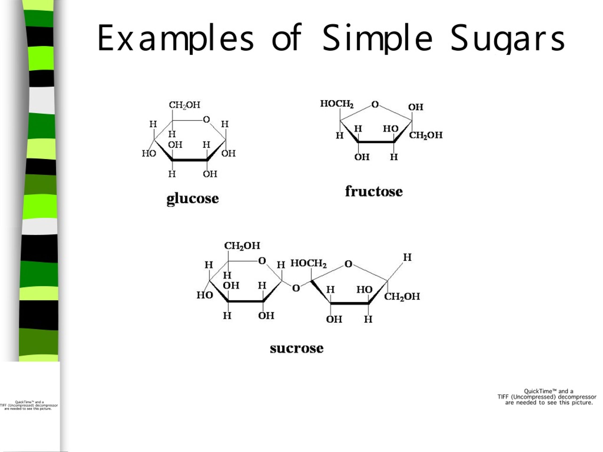 Example of Simple Sugars