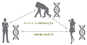 「遺伝子相性」で人間関係を選ぶ2026年。私たちが「本能的な拒絶」を科学的に解明すべき理由