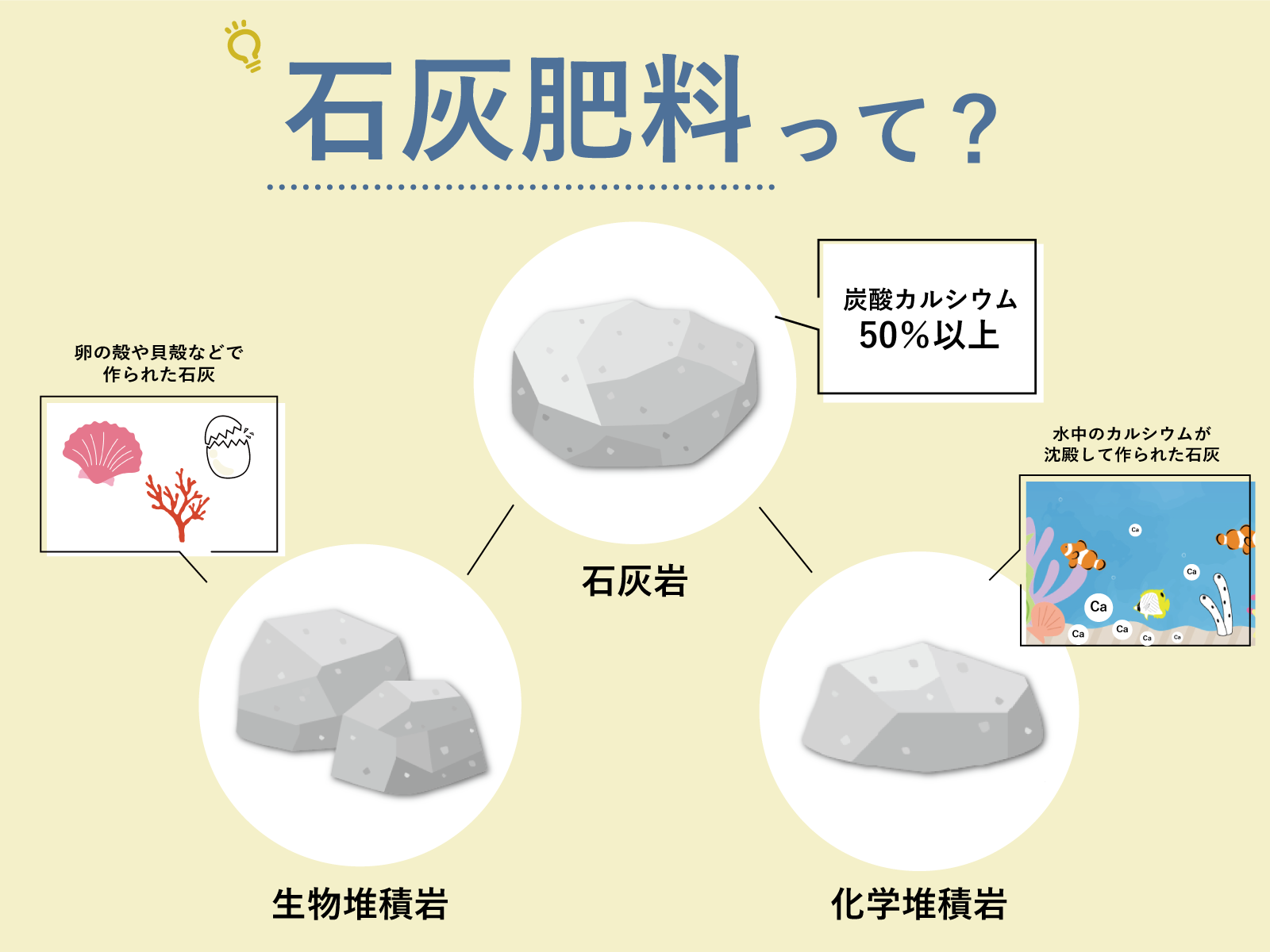 苦土石灰と消石灰の違いを徹底比較！作物を枯らさない使い分けと土作り