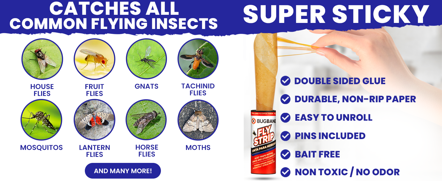 Do Fly Strips Work for Gnats
