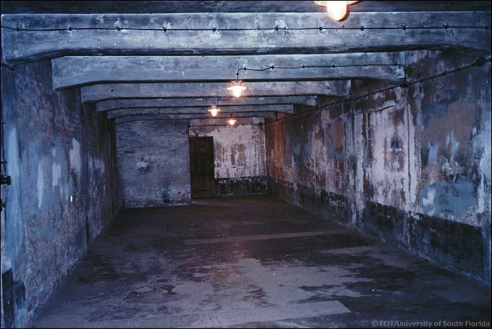 The Gas Chambers in the Holocaust
