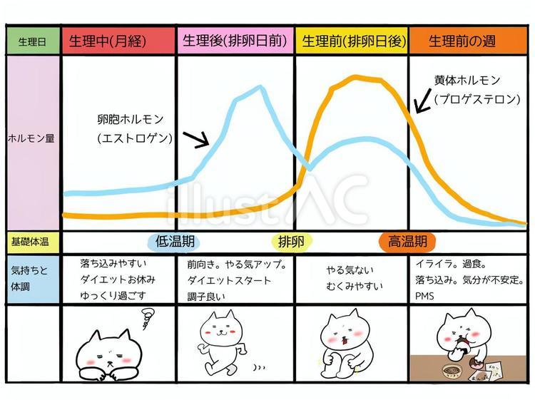 【徹底調査】 生理 後 体調 不良 Tiktok話題の動画 #893