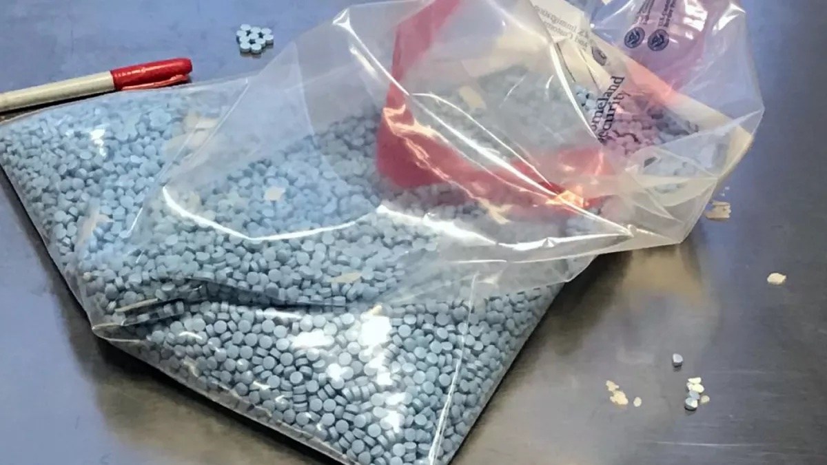 Did a Drug Dealer's Fentanyl-Laced Oxy Kill Hayden Panettiere? the Dea Is Closing In