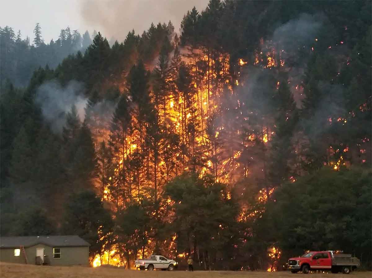Inside Eliana Moreno’s Career: 15+ Year's Covering Wildfires, Crashes, and Breaking News from Above