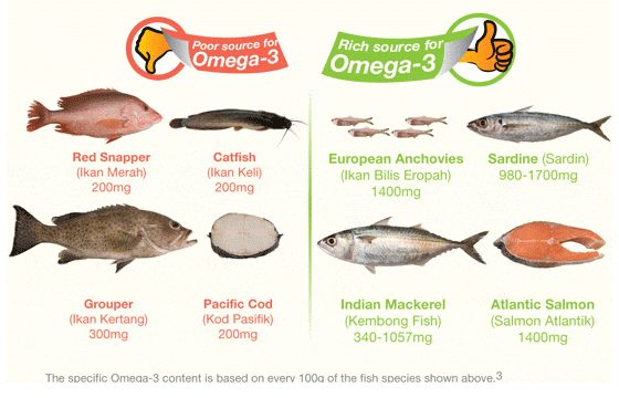 Does Fish Contain Cholesterol