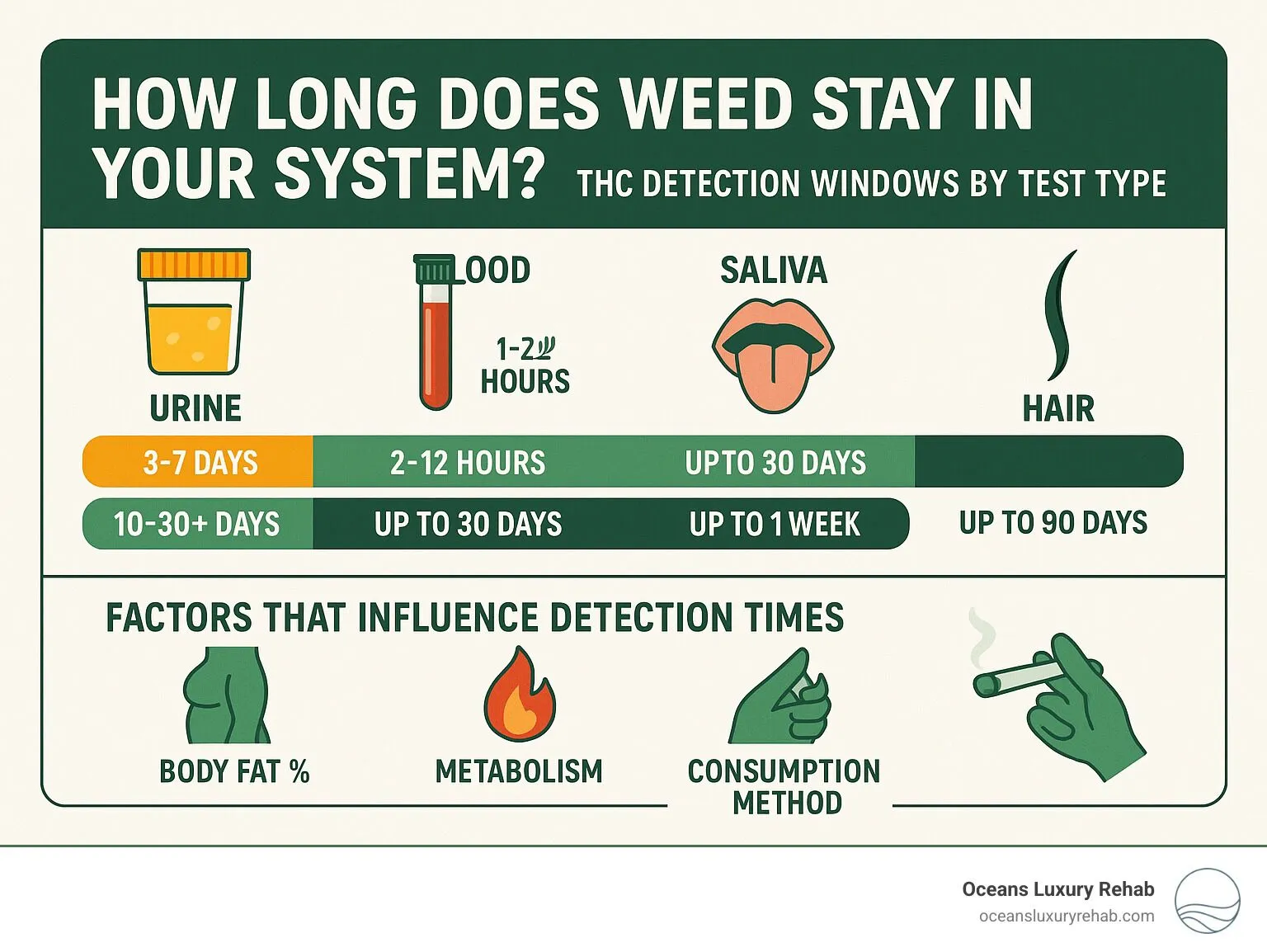 How Long Does Dabs Stay in Your System