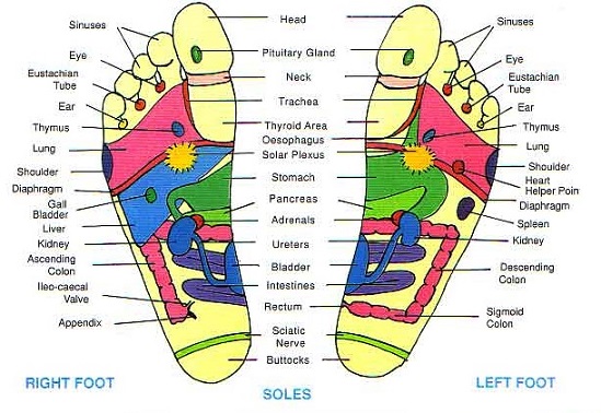 Reflexology Foot for Headache