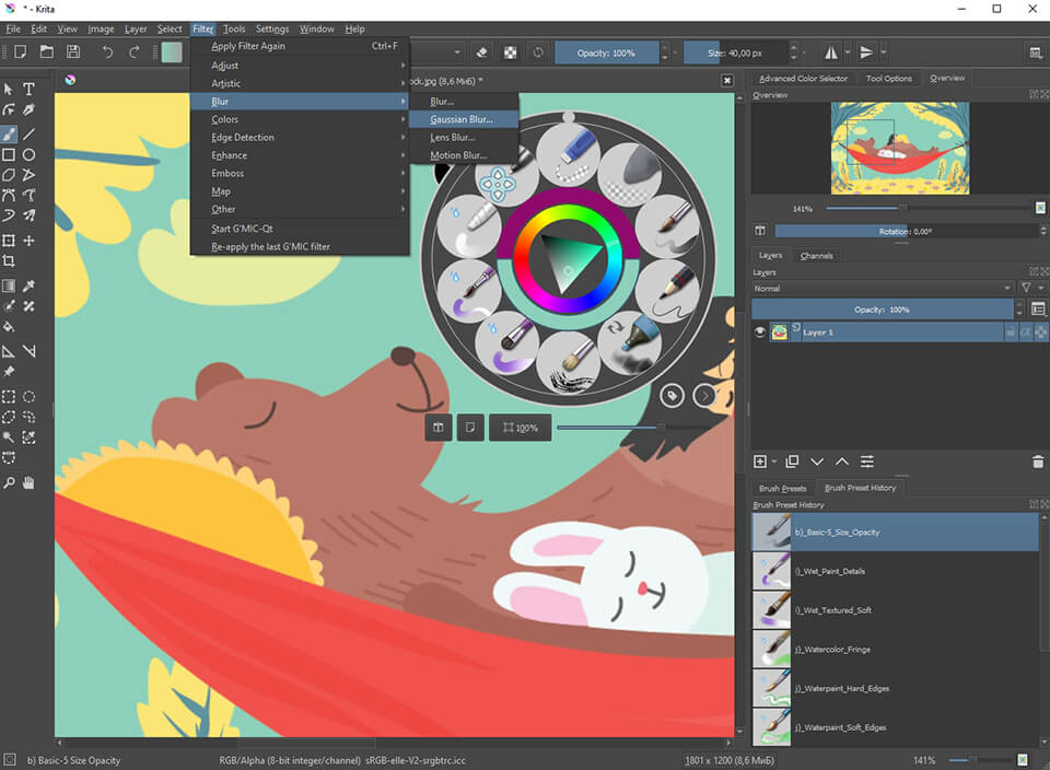 Graphics Design Program