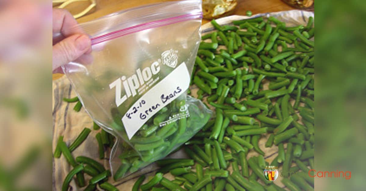 Can I Freeze Raw Green Beans