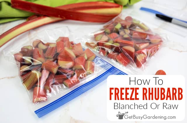 Can Rhubarb Be Frozen