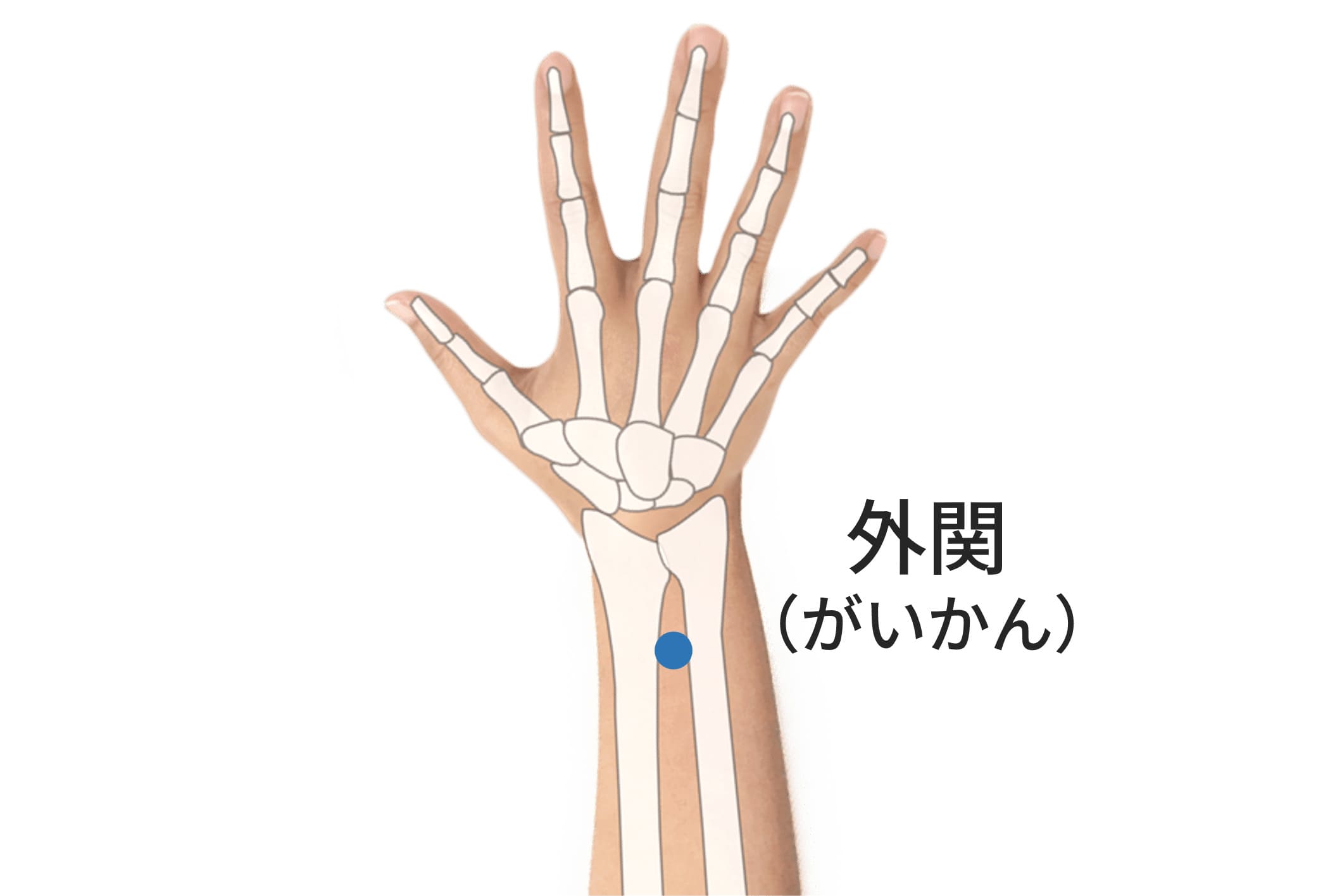 耳の詰まりに効くツボ徹底解説｜ボワボワ不快感を即効解消する技