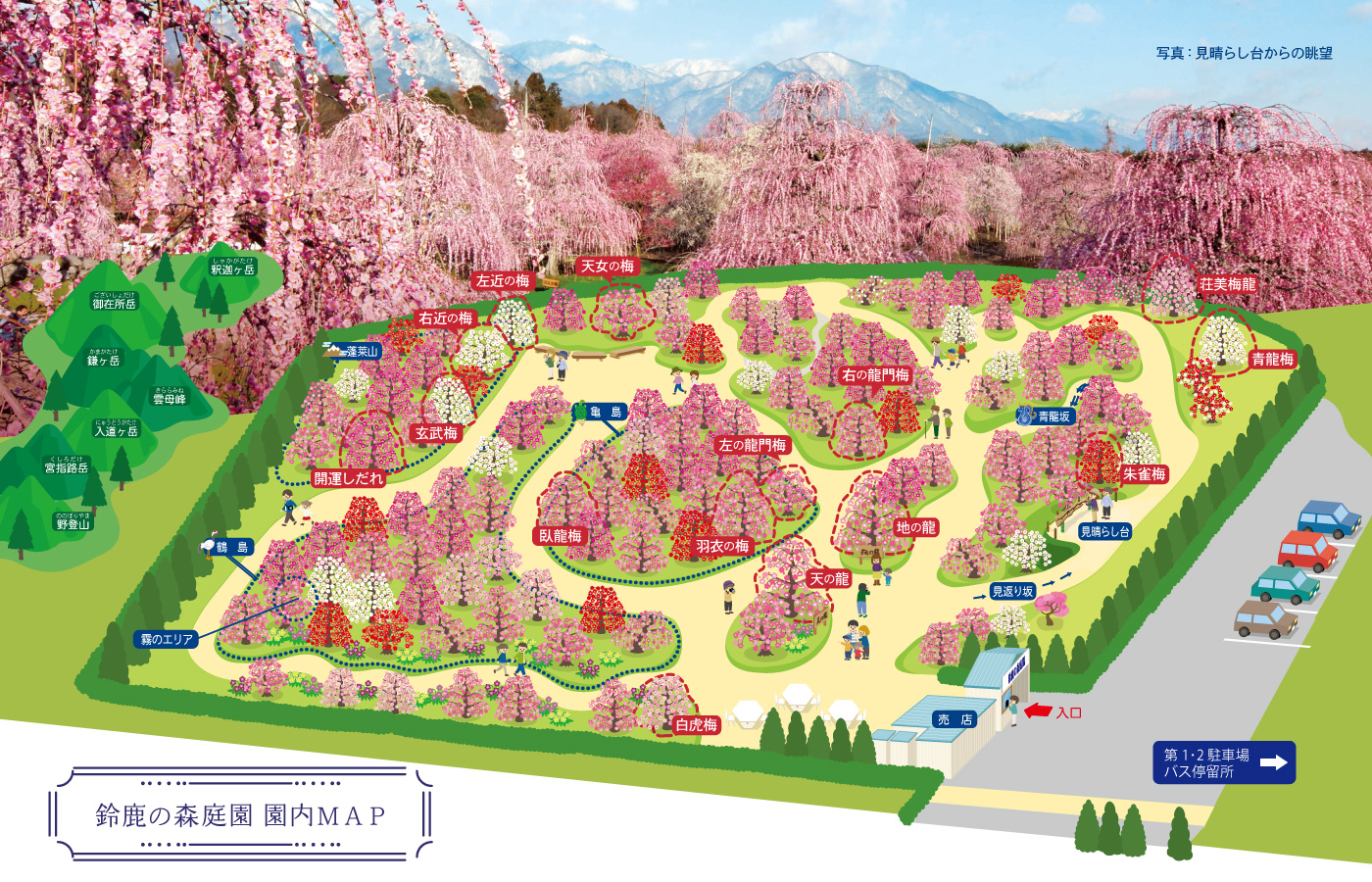 【2026最新】鈴鹿の森庭園の入園料変動の謎と見頃・混雑回避術