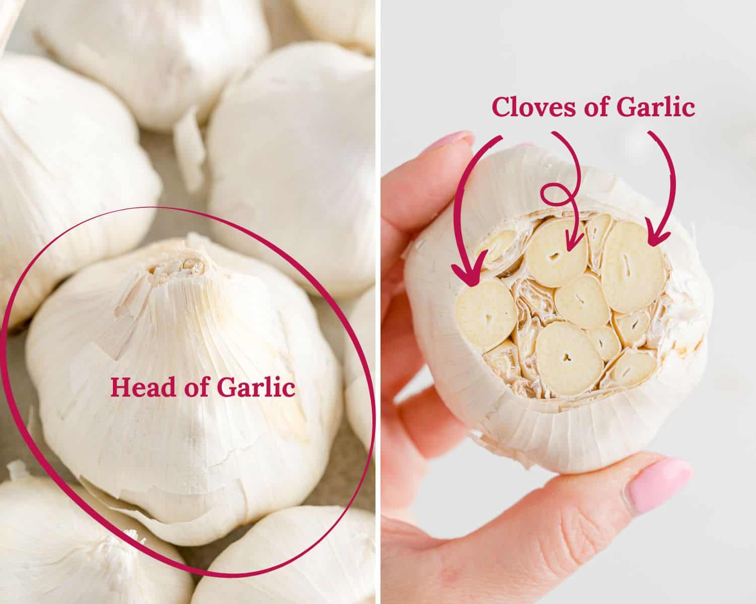 Head vs Clove of Garlic
