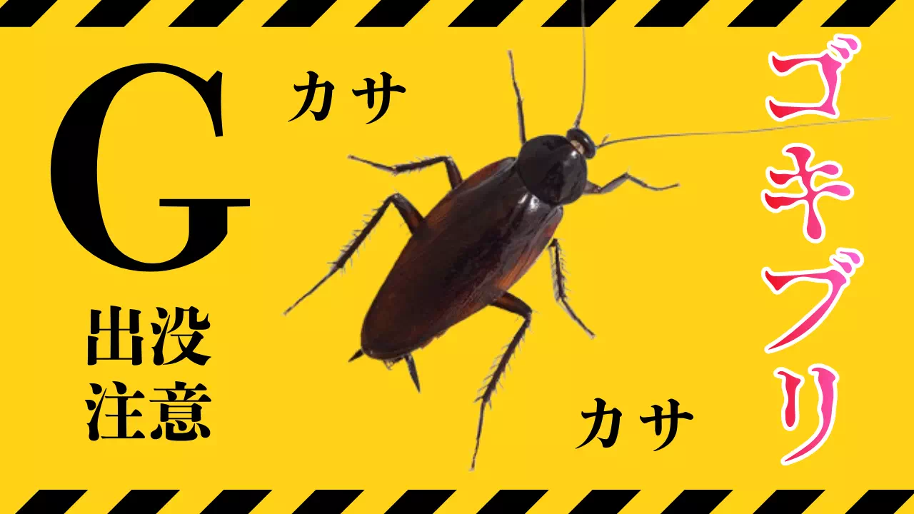 ゴキブリを見失った夜どう寝る？ベッド防御と今すぐできる緊急対処法