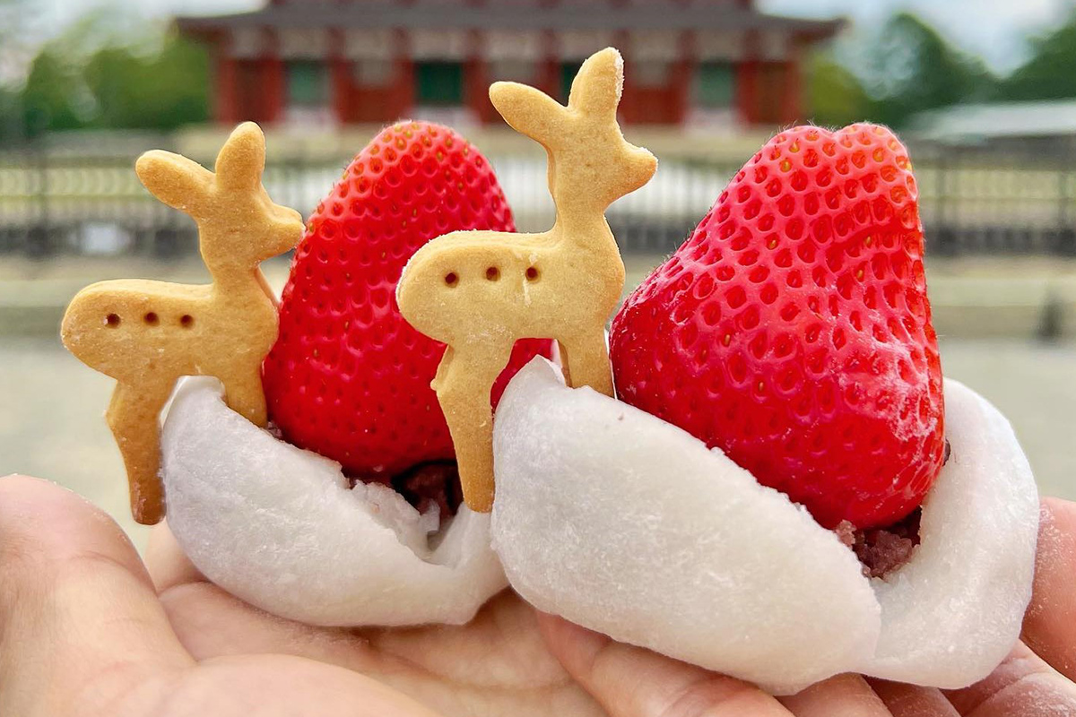 極上の味覚を辿る旅！奈良と京都が誇る知られざる名店と伝統食