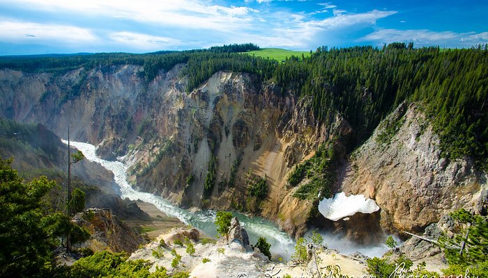 Grand Canyon of Yellowstone