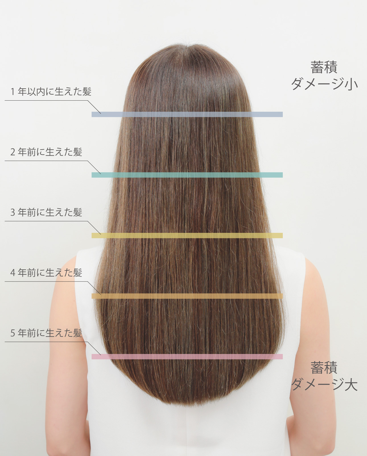 髪の毛集めてポイ徹底検証！毎日の風呂掃除を秒で終わらせるコツ