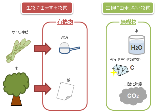【動画まとめ】 有機物 と 無機物 の 違い 話題のSns投稿まとめ 2026 #866