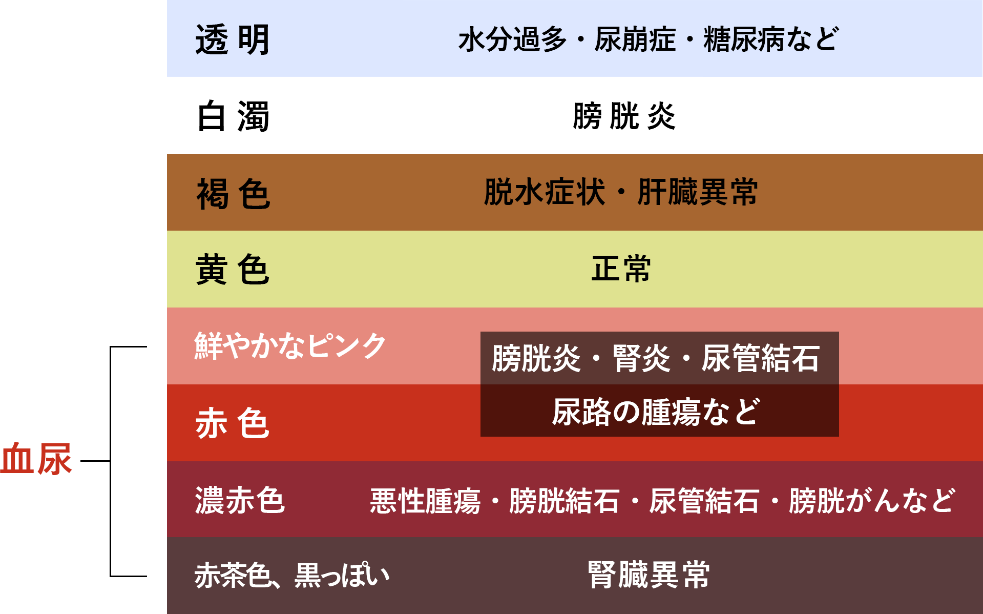 突然の血尿はなぜ起こる？痛みなしに潜む重大病と緊急受診の境界線