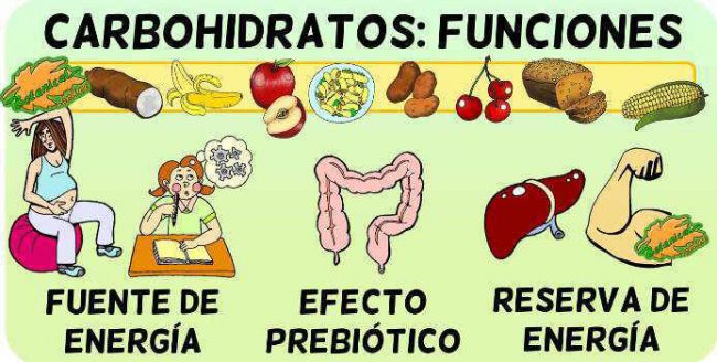 Cuáles Son Las Funciones De Los Carbohidratos