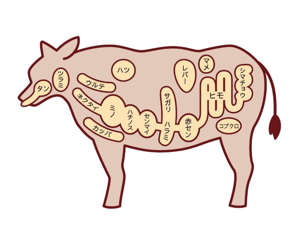 【2026年最新】焼肉ホルモン部位一覧！味と食感の違いや焼き方徹底解剖
