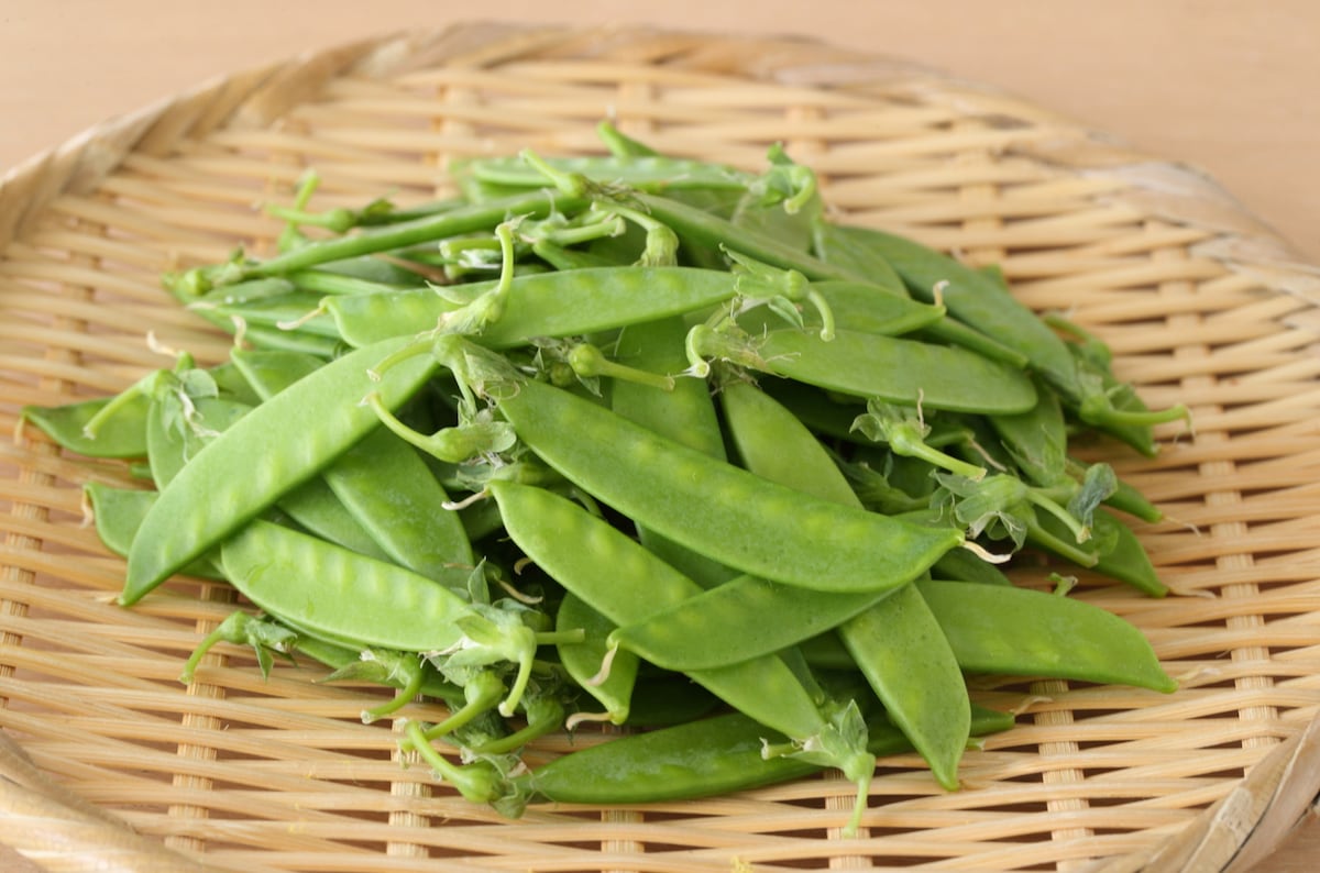 さやえんどうの茹で時間は何分？シワ知らずで色鮮やかなプロの技