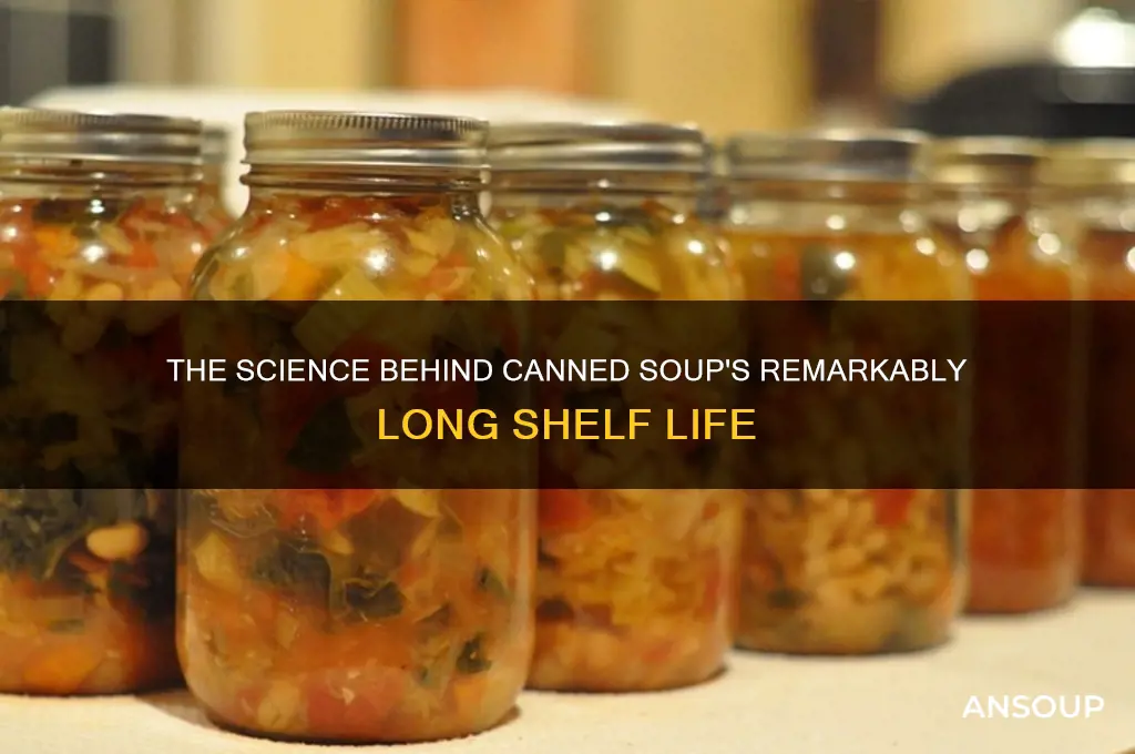 Shelf Life for Canned Soup