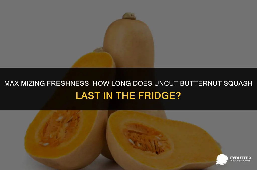 How Long Does Butternut Squash Last in the Fridge