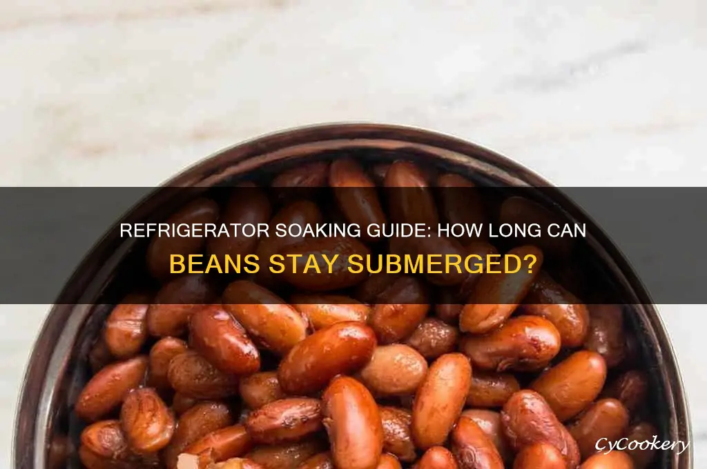 What's the Longest You Can Soak Beans