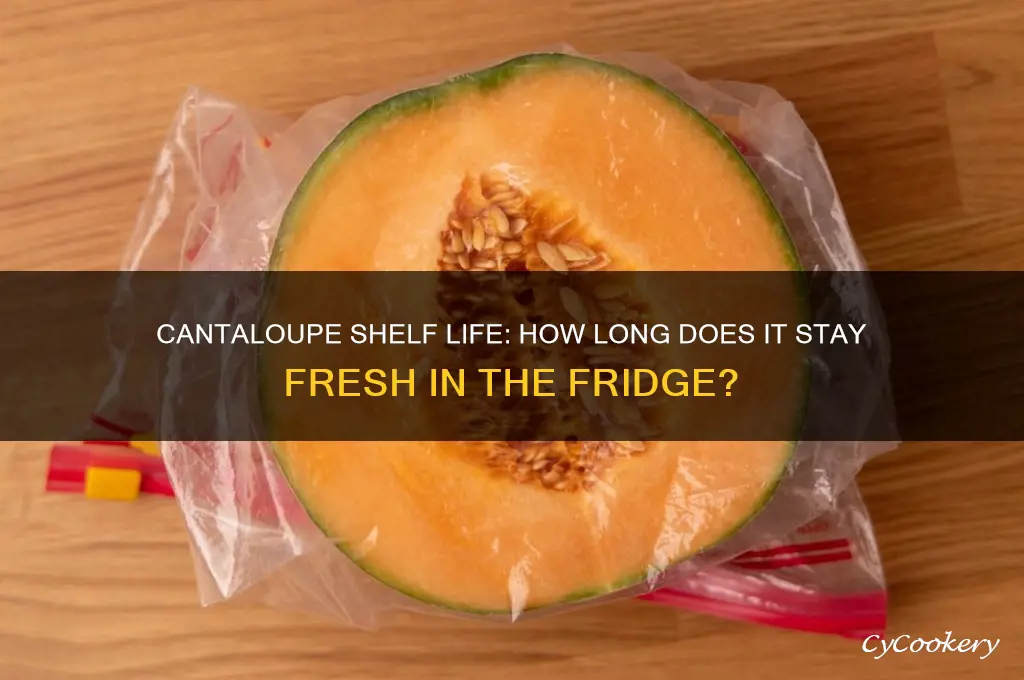 Does Uncut Cantaloupe Need to Be Refrigerated