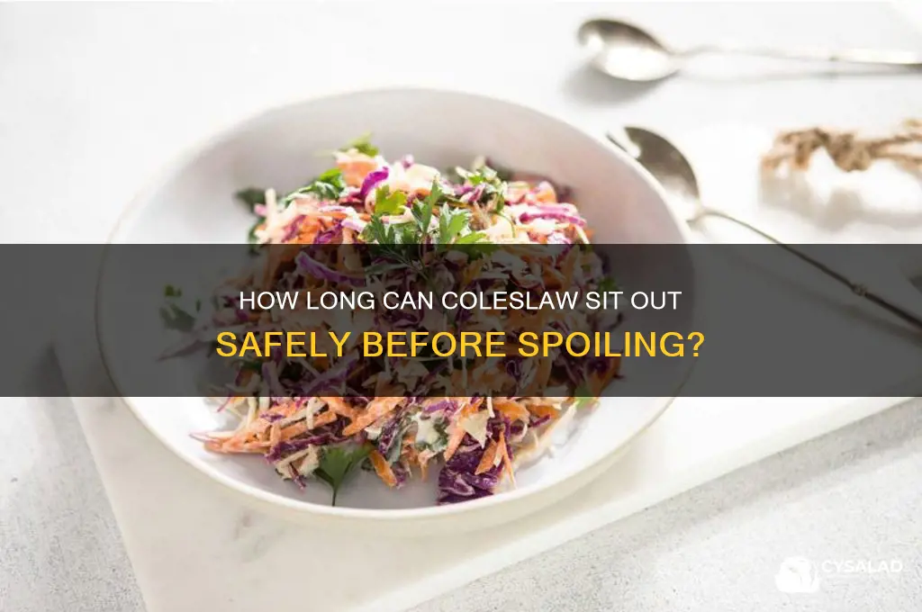 How Long Should Coleslaw Sit Before Serving