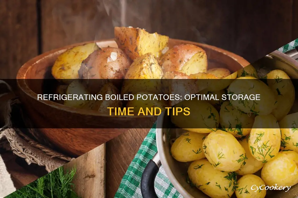 Are You Supposed to Refrigerate Potatoes