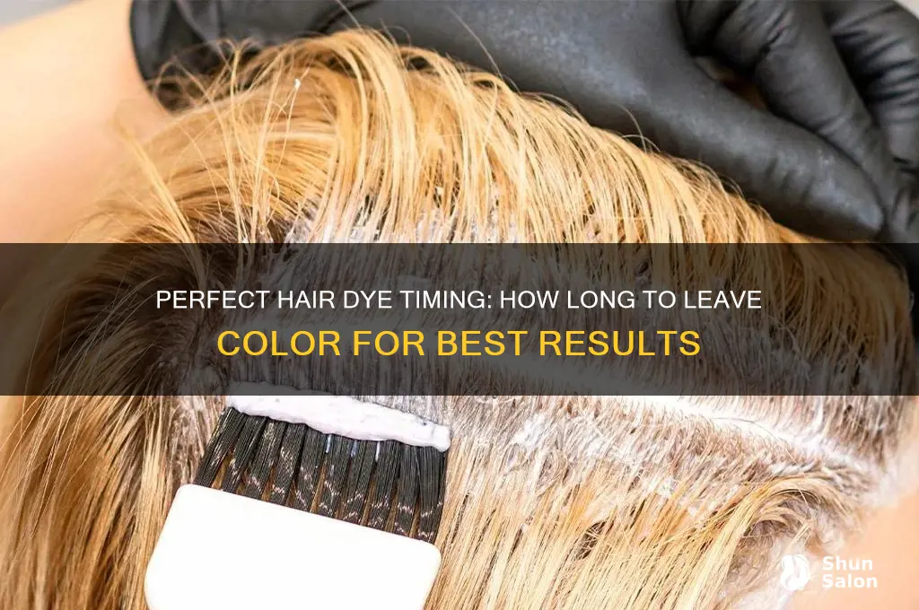 How Long Hair Dye Leave On
