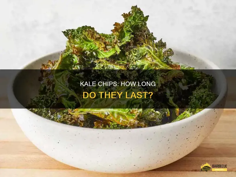 How Long Does Kale Chips Last