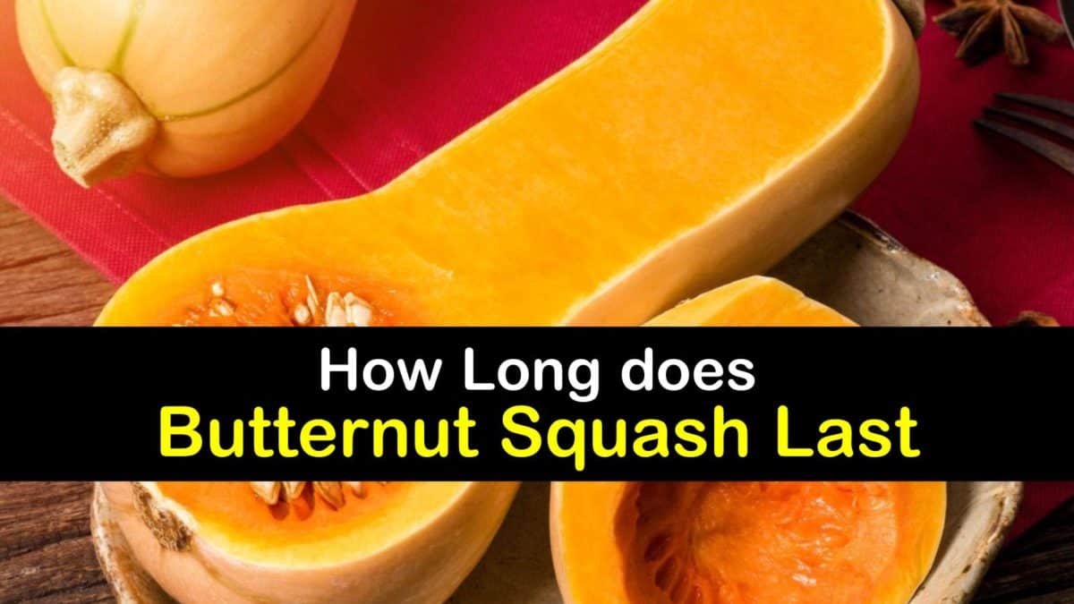 Shelf Life Butternut Squash