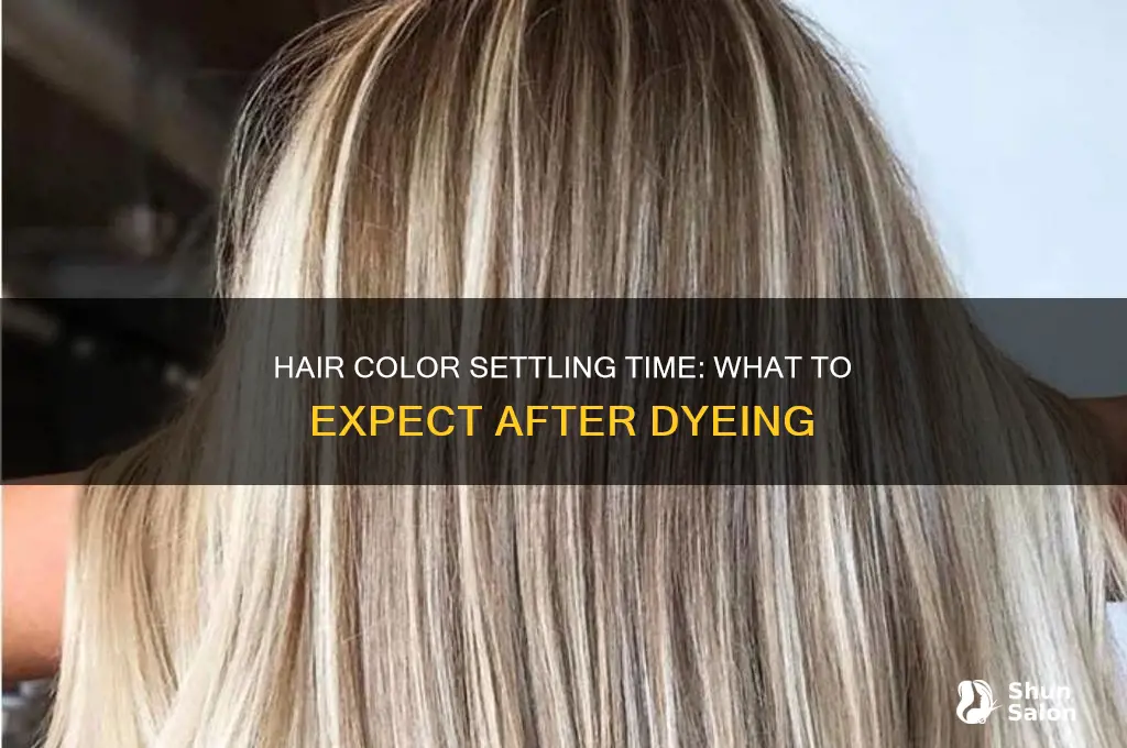 How Long Does It Take for Hair Color to Settle