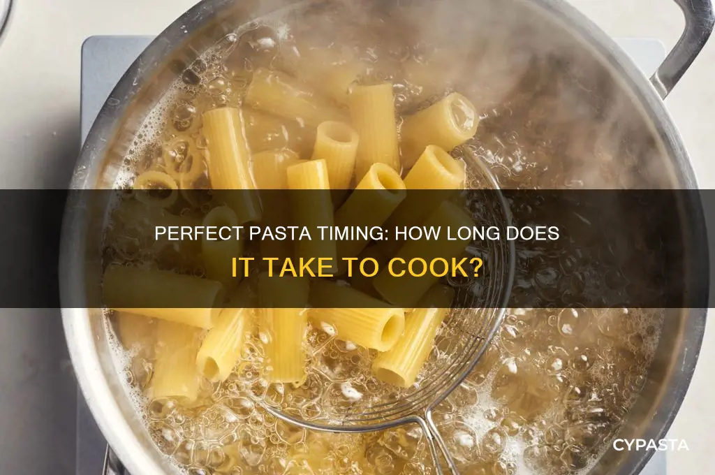How Long Does Pasta Cook