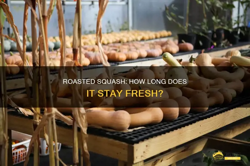 How Long Is Cooked Squash Good for in the Fridge