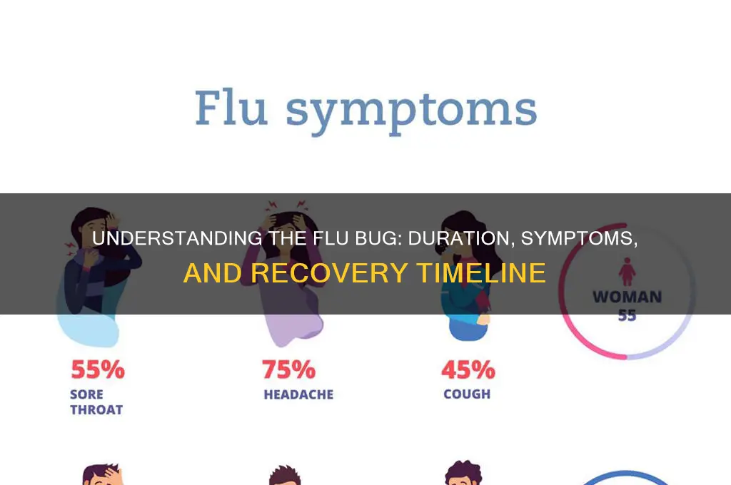 How Long Does the New Flu Last